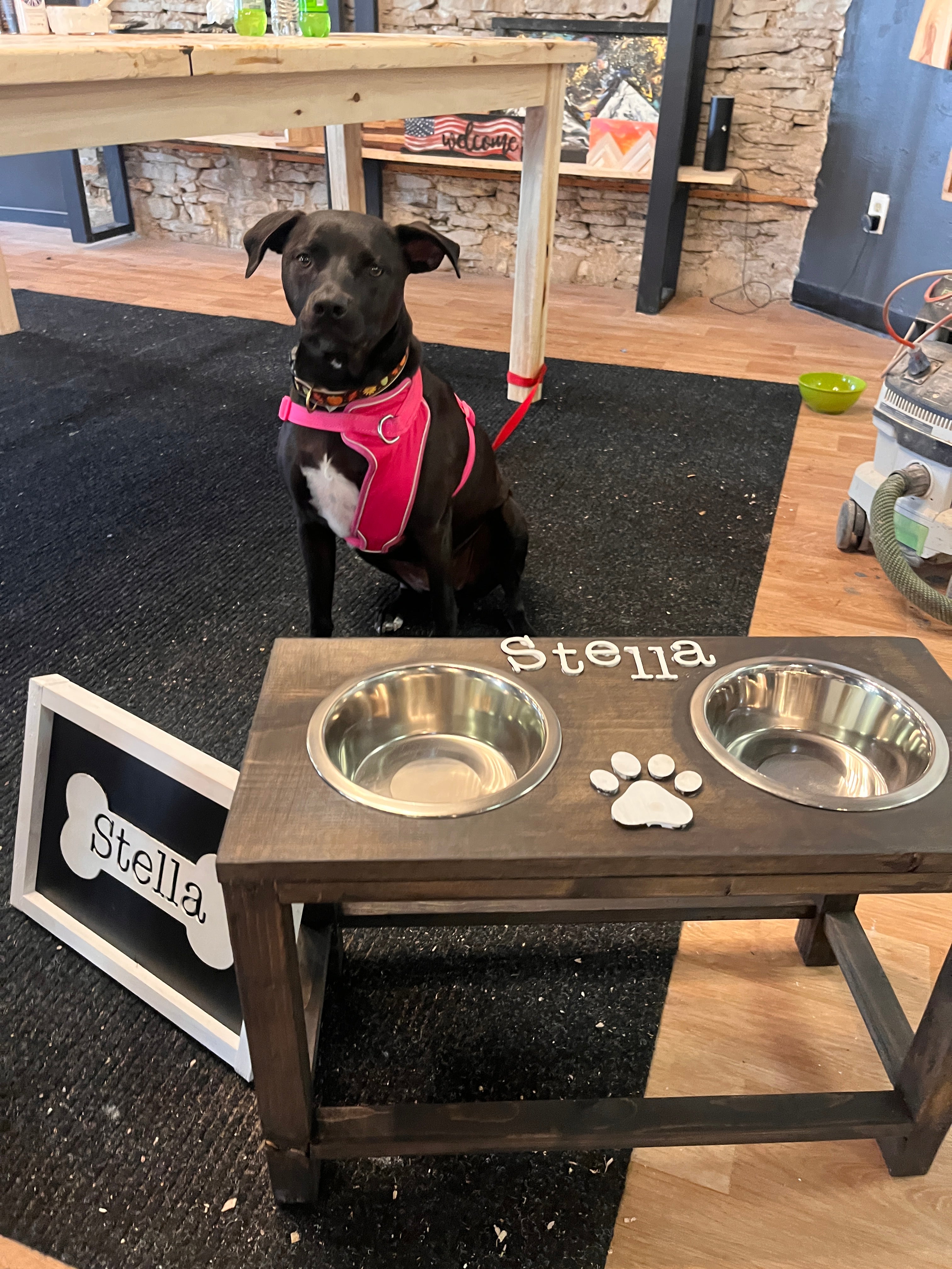 Raised Dog Bowl Workshop Fisk Avenue