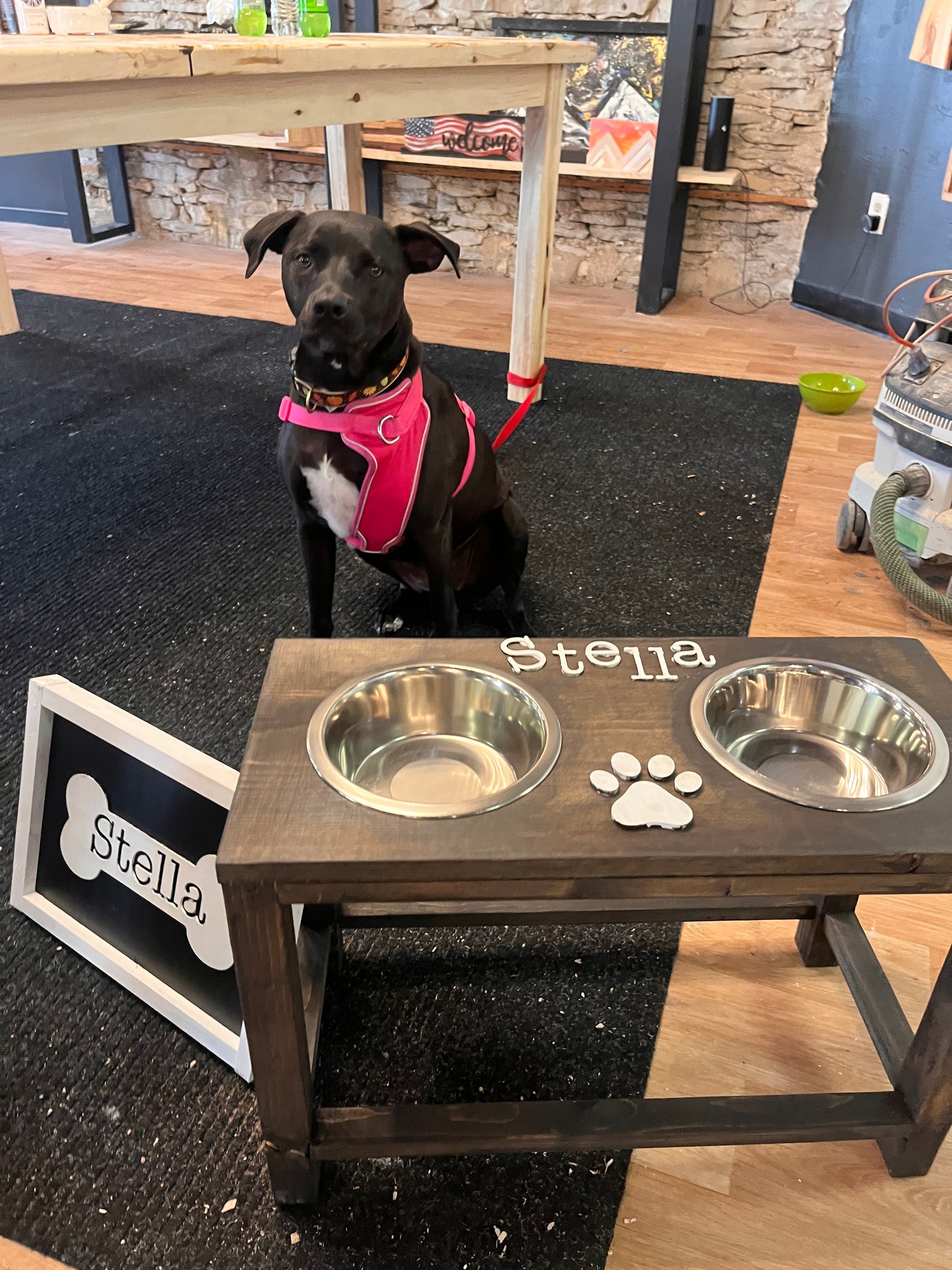 Raised Dog Bowl Workshop