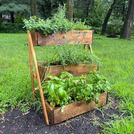 Multi-Tier Raised Cedar Planter Workshop