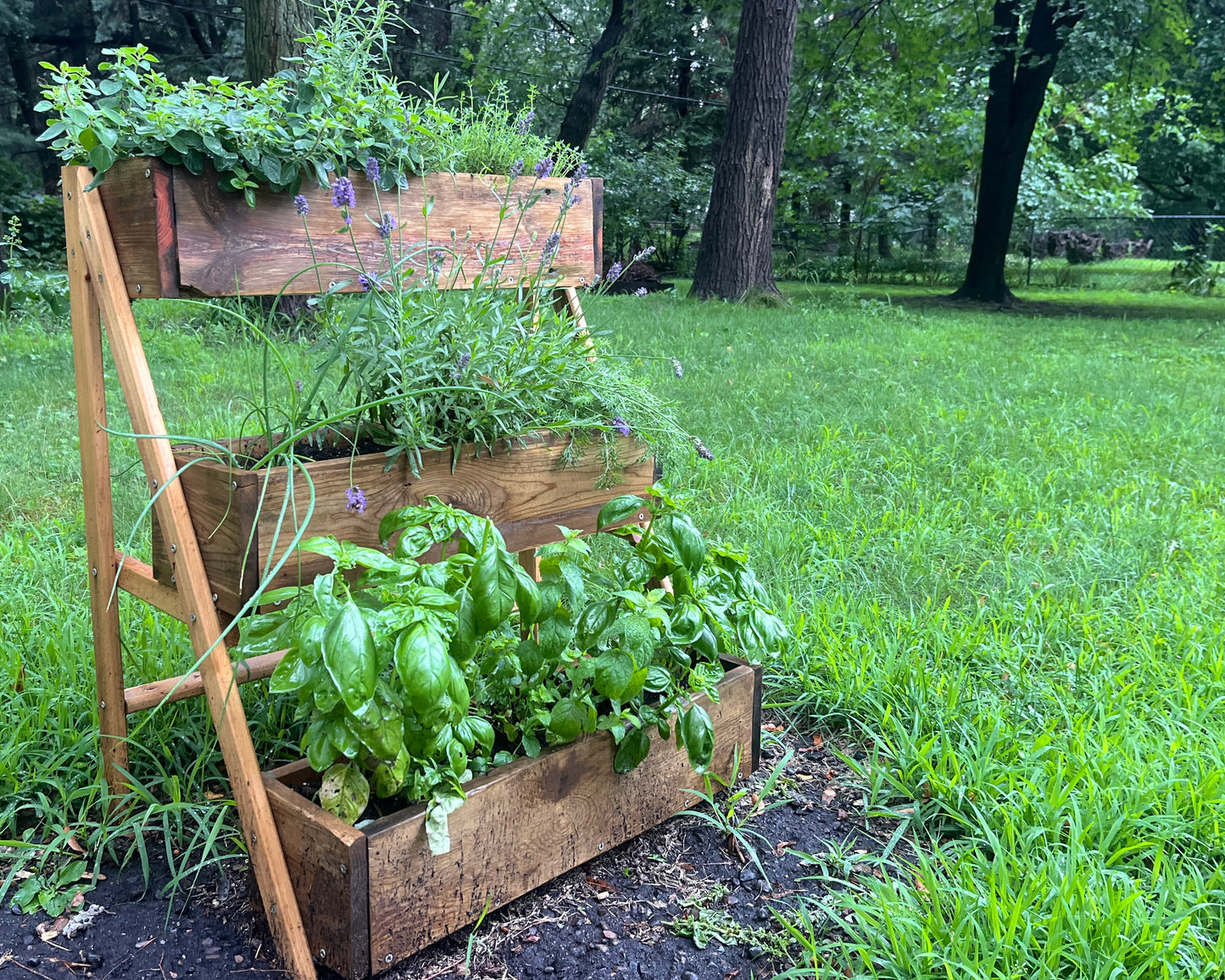 Multi-Tier Raised Cedar Planter Workshop